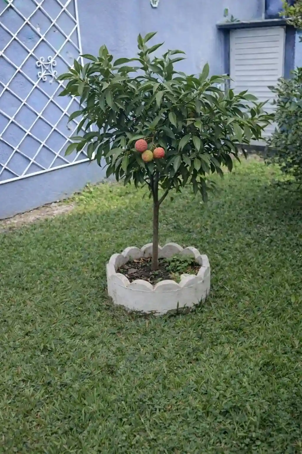 Foto enviada por cliente 1